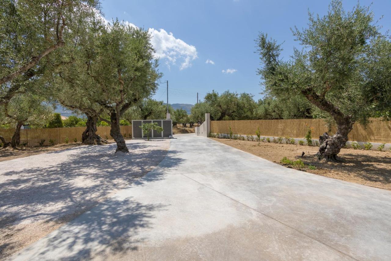 Villa Olivea Kalpaki  Buitenkant foto