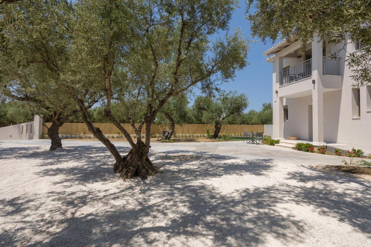 Villa Olivea Kalpaki  Buitenkant foto