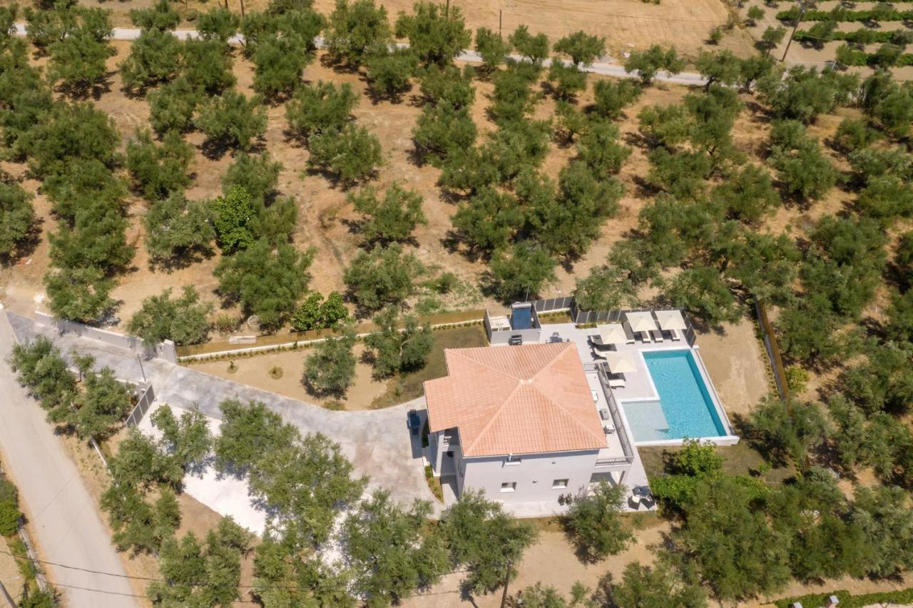 Villa Olivea Kalpaki  Buitenkant foto